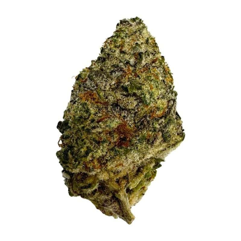 ESPH Governmint strain hybrid indica sativa