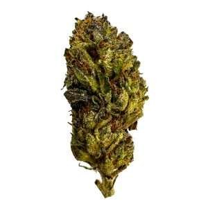 black runtz ESPH strain hybrid indica sativa