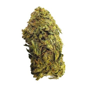 oil tanker ESPH strain hybrid indica sativa