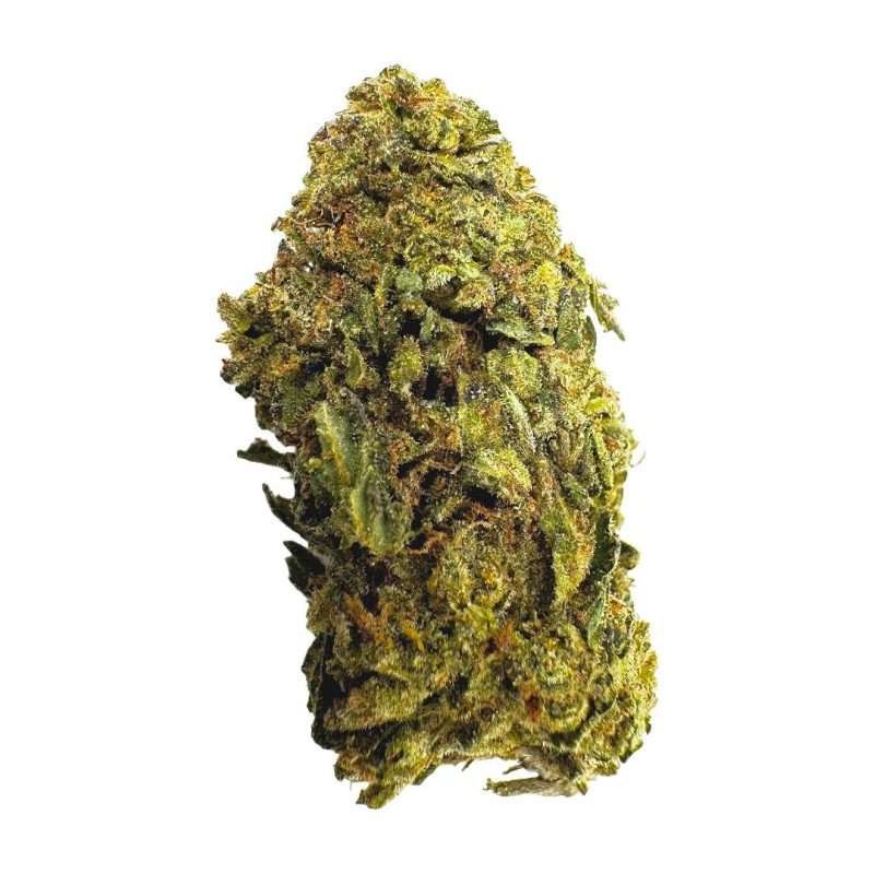oil tanker ESPH strain hybrid indica sativa