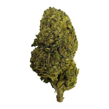 green crack mango kush ESPH strain hybrid indica sativa