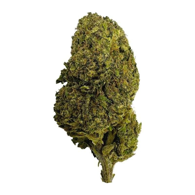 green crack mango kush ESPH strain hybrid indica sativa