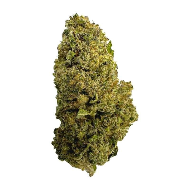 Ice cream cake ESPH strain hybrid indica sativa
