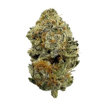 tropical punch white lotus strain indica relaxation bud emerald smoke premium hemp