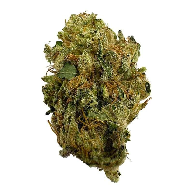 white chocolate hybrid strain indica relaxation bud emerald smoke premium hemp
