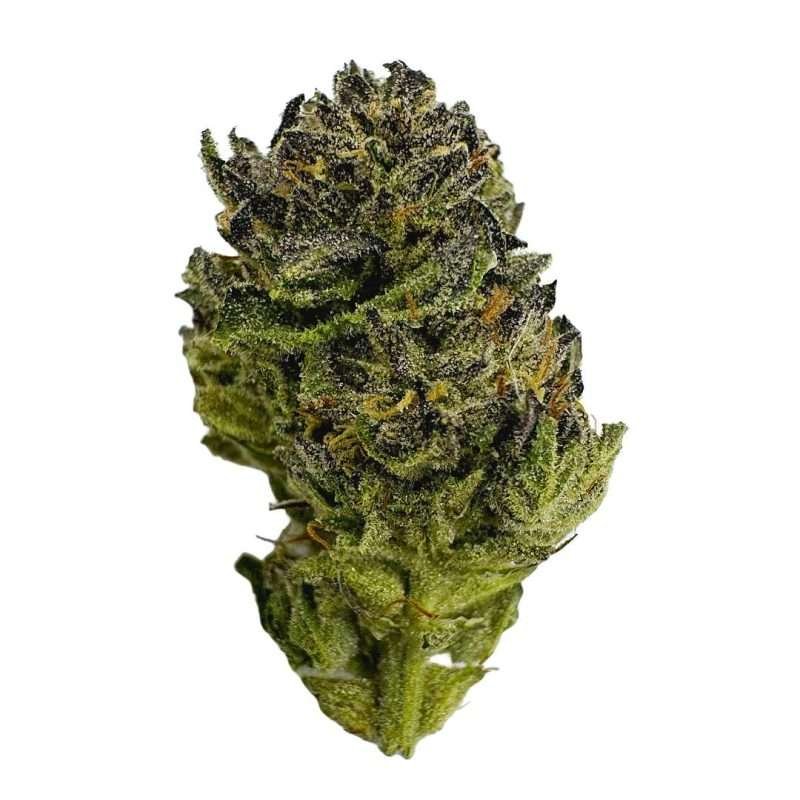 lava cakes gelato strain indica relaxation bud emerald smoke premium hemp