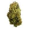 ESPH Trump Runtz Sativa Strain