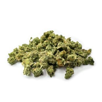Ice Cream Cake - Indoor Smalls - 28g