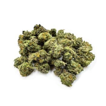 Lemon Cherry Dulce - Indoor Smalls - 28g