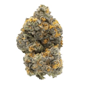 gary runtz payton thca