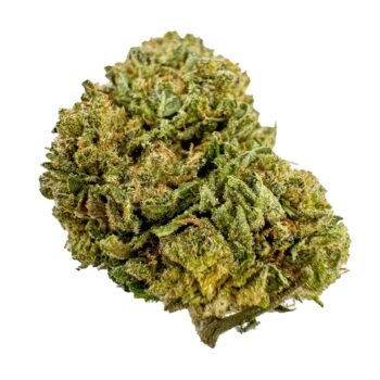 a green bud of hemp purp driver