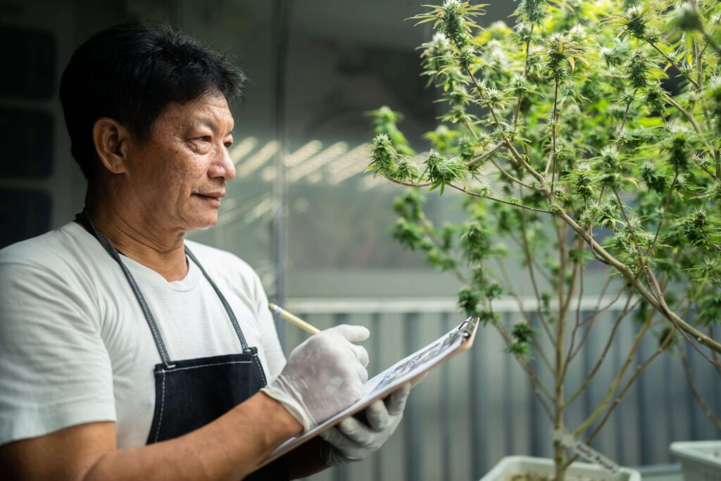 A Beginner’s Guide to Understanding Hemp Strain Genetics