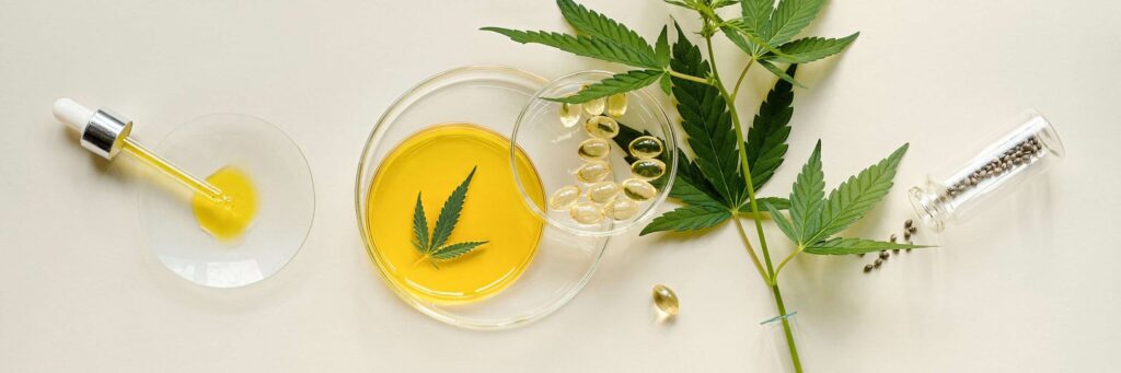 THCa Concentrates vs. Hemp Flowers: Which Is Right for You?