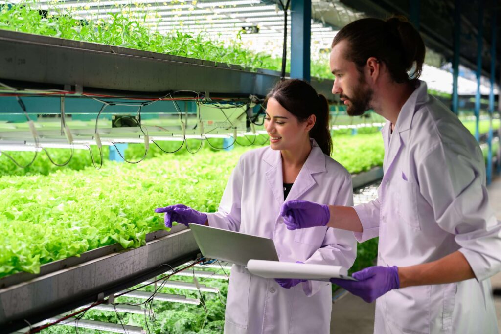 Soil vs. Hydroponics: Which is Better for Hemp Growth?