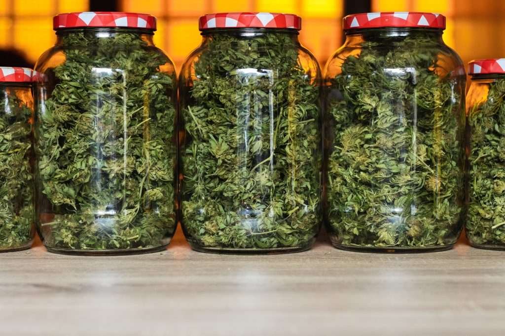 What is Green Wednesday