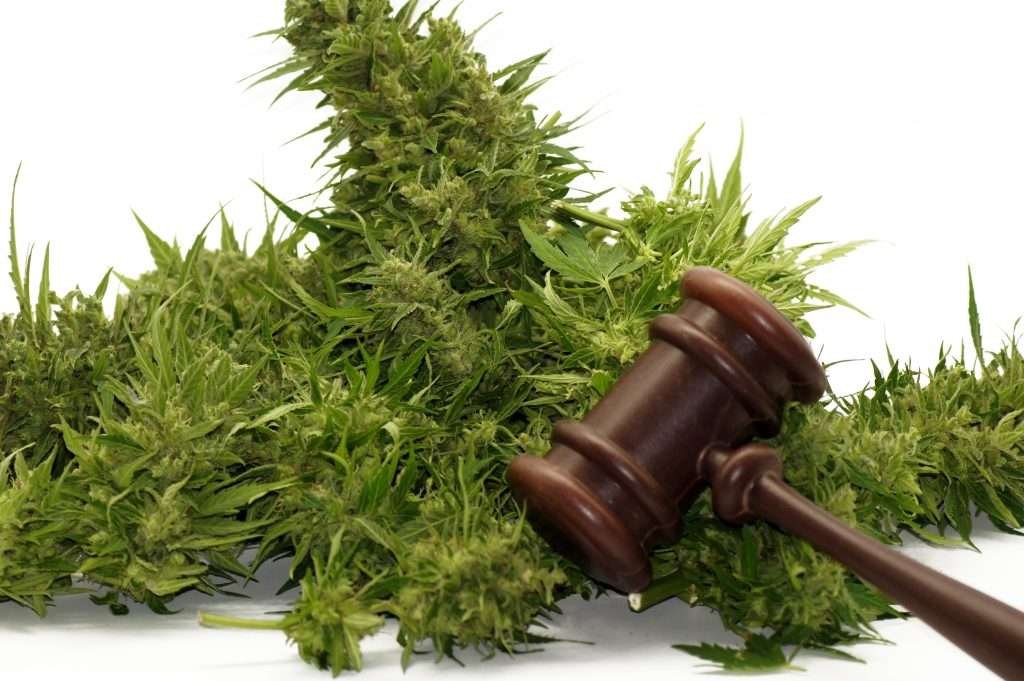 Legalization in the U.S. 2024: What’s New and What It Means for You