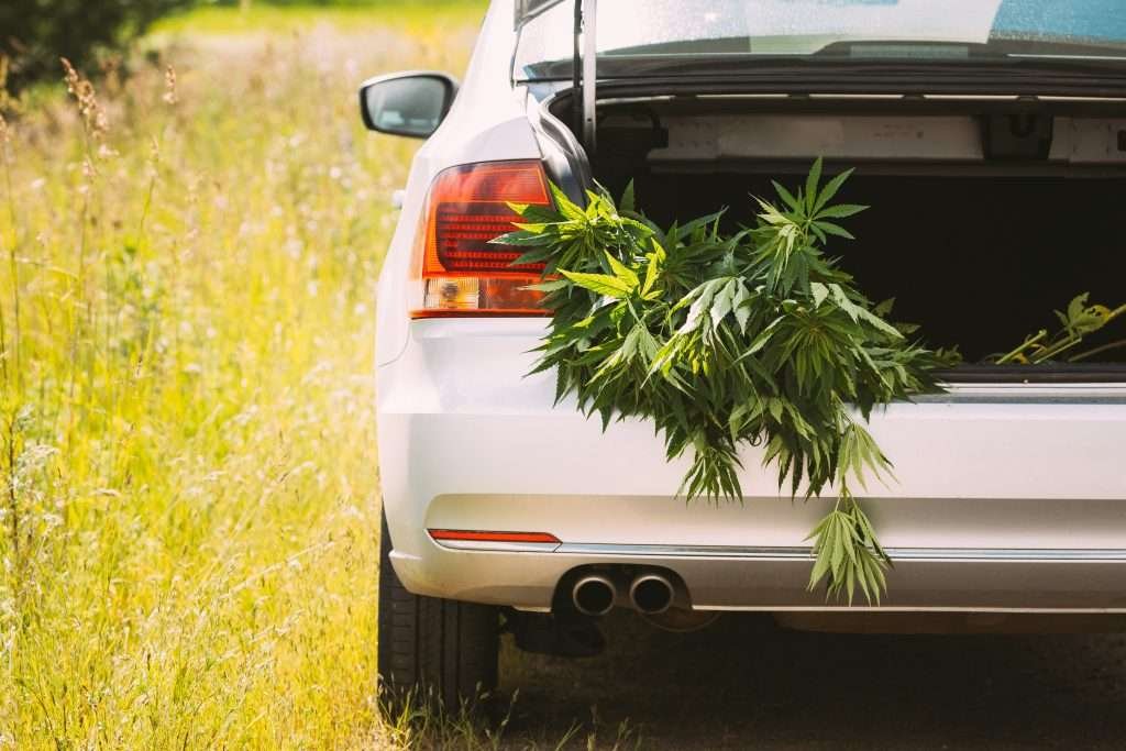 Hemp Delivery Services: A Guide to Getting Your Flowers Safely and Discreetly