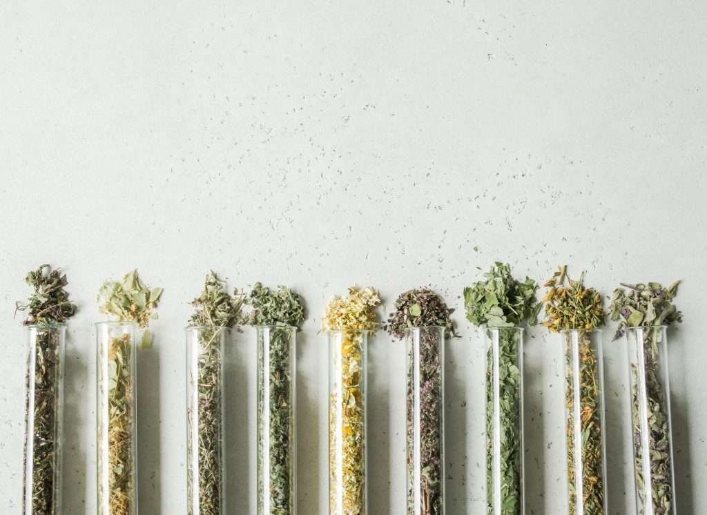 Where Did Different Strains Originate From