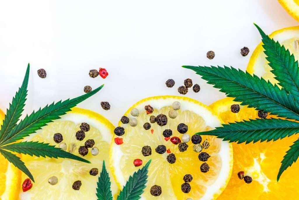 What Terpenes Are and How They Affect Flavor and Effects