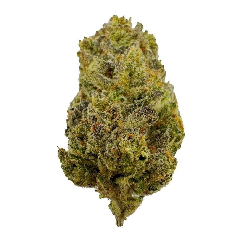 a green and yellow bud of thca flower