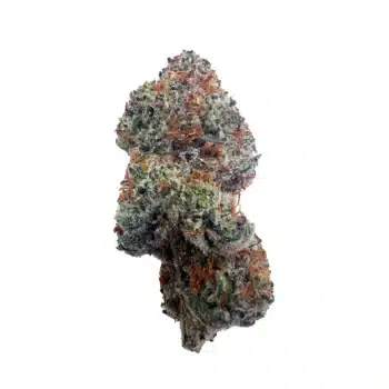 a bud of exotic indoor thca flower strain