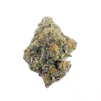 cromagnum strain
