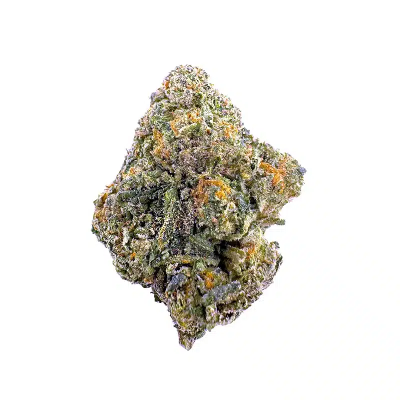 cromagnum strain