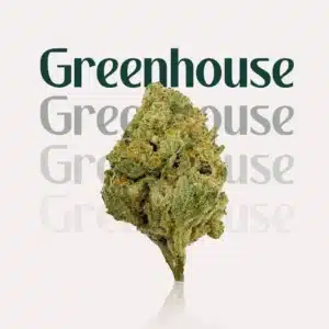 Greenhouse THCa Flower