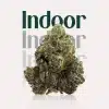top shelf indoor bud of hemp