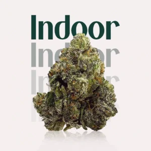 top shelf indoor bud of hemp