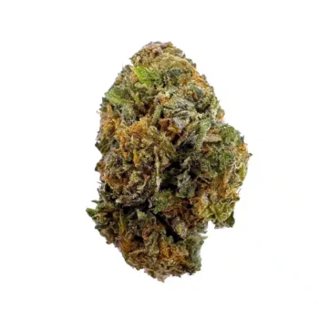 close view of acapulco gold strain