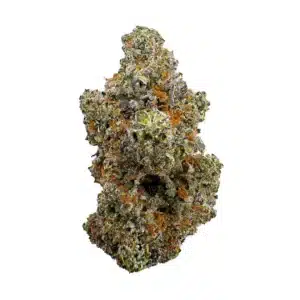 a close up photo of indoor bud of hemp flower alaskan thunder fuck strain