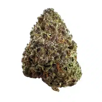 a close up photo of indoor bud of hemp flower colombian gold strain