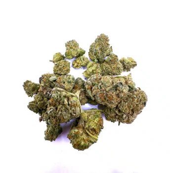 king og strain with a close up of small buds