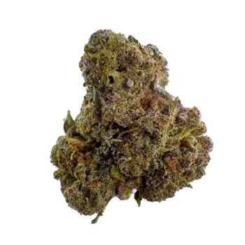 a close up photo of indoor bud of hemp flower platinum cakes