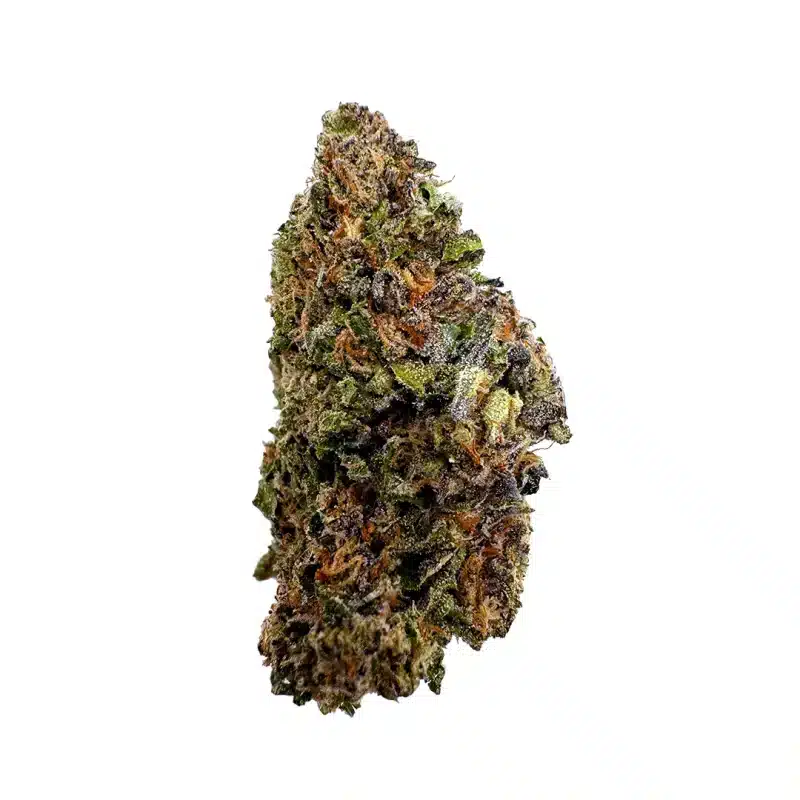 close up of trump kush thca flower