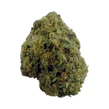 bud of greenhouse hemp flower