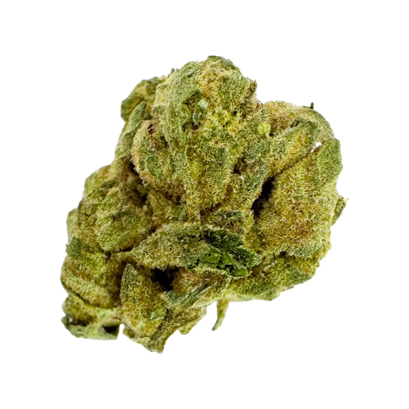 Blue Cookies - Smalls