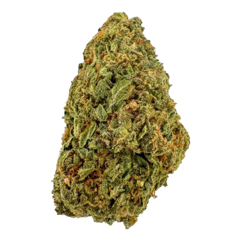 Kush Mintz
