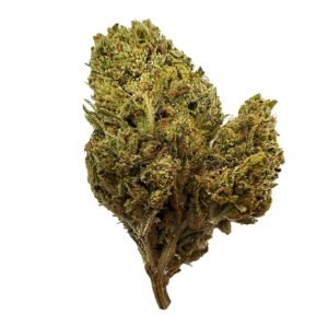 Rolls Choice Strain