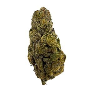 Sherbet Cream Pie Strain