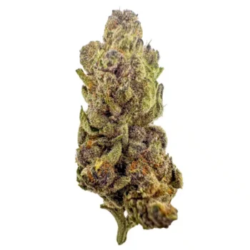 Stardust Strain