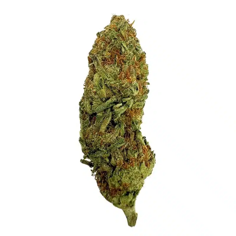 Apple Candy Kush