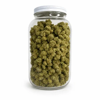 Half Pound THCa Flower