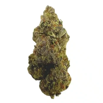 Mendo Breath Strain