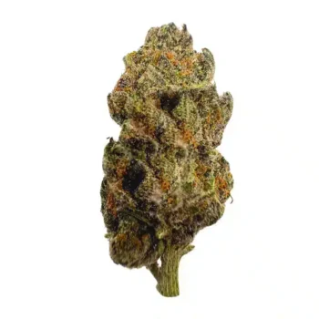 Space Runtz Strain
