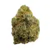 Sour Cherry