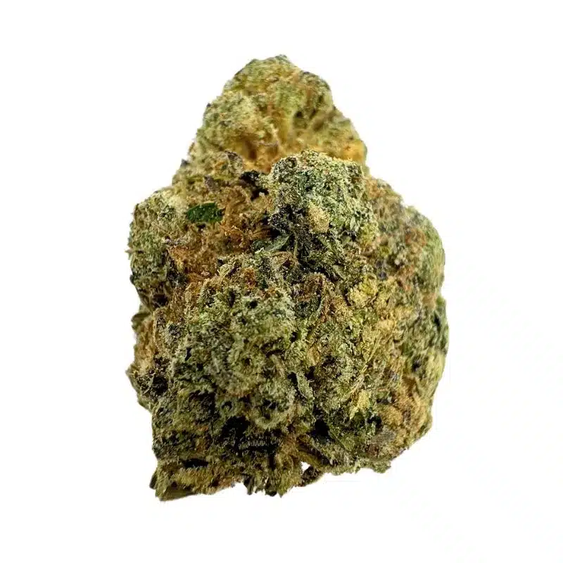 Sour Cherry