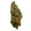 Tangerine Dream