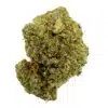 Indoor bud of thca flower